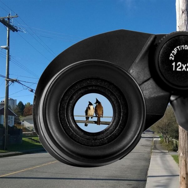 Birdwatching Binoculars